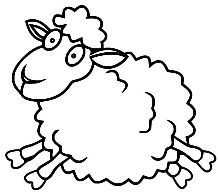 Running Sheep