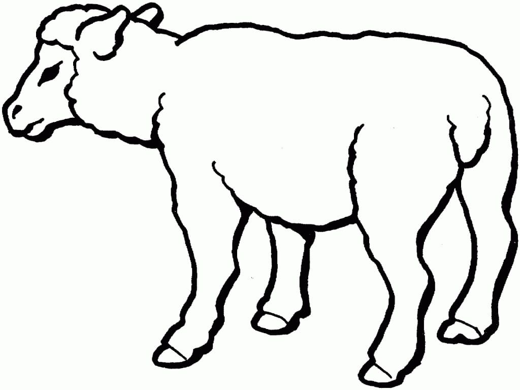 Sheep Free Printable