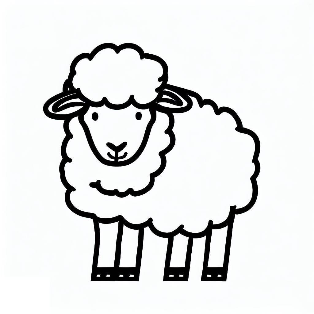 Sheep Image