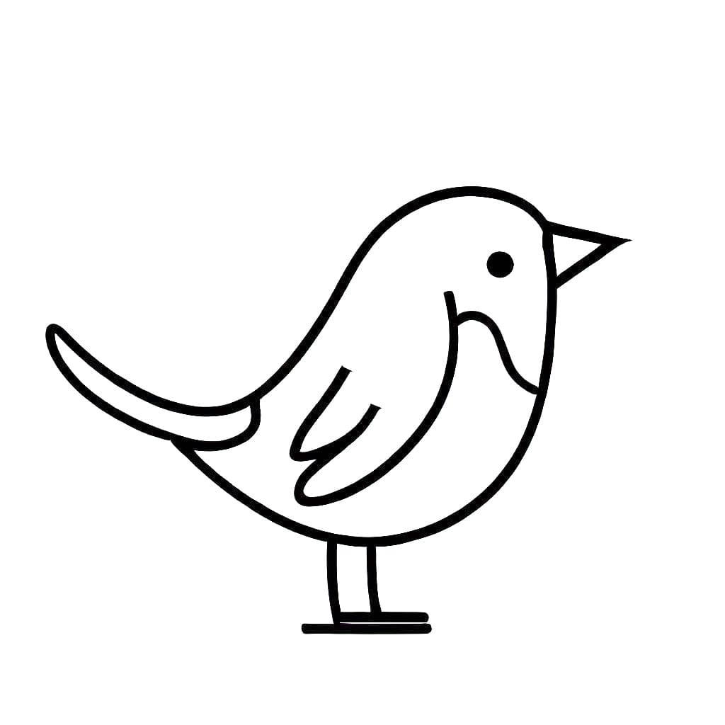 Drawing Birds Illustration For Kids Coloring Page PNG Images | PNG Free  Download - Pikbest