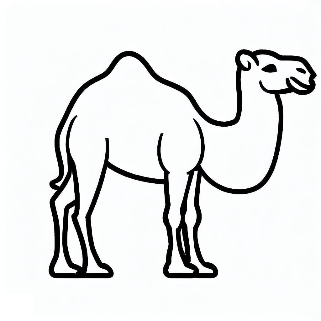 Simple Camel coloring page - Download, Print or Color Online for Free