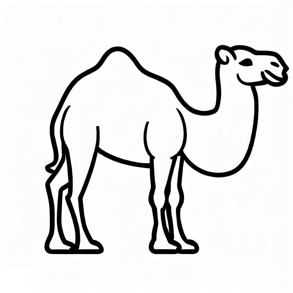 lower-camel-case-trust-the-answer-ar-taphoamini