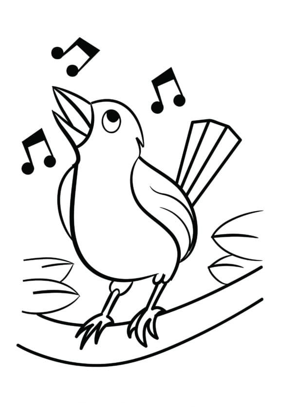 Coloring Page singing bird - free printable coloring pages - Img 19450