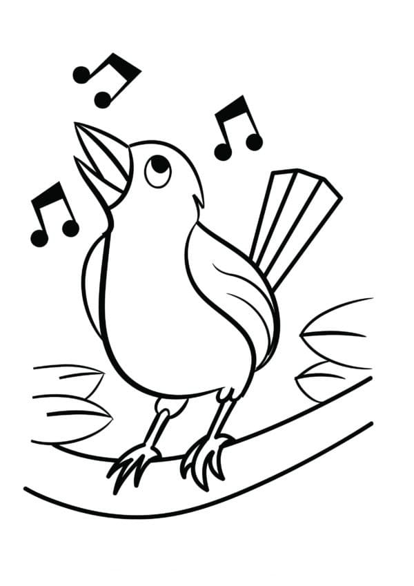 Singing Bird