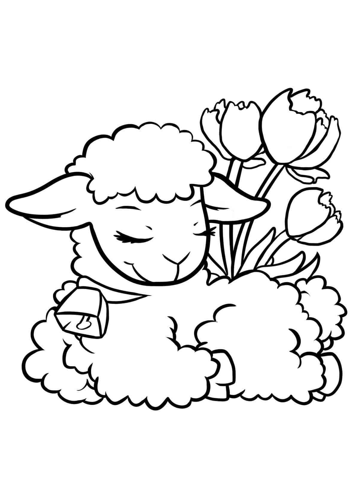 Sleeping Lamb