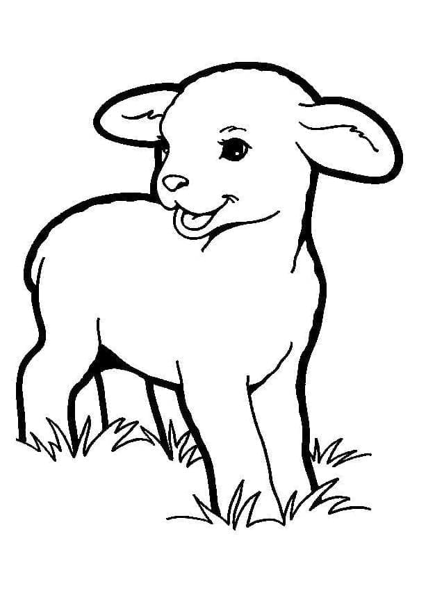 Small Lamb coloring page