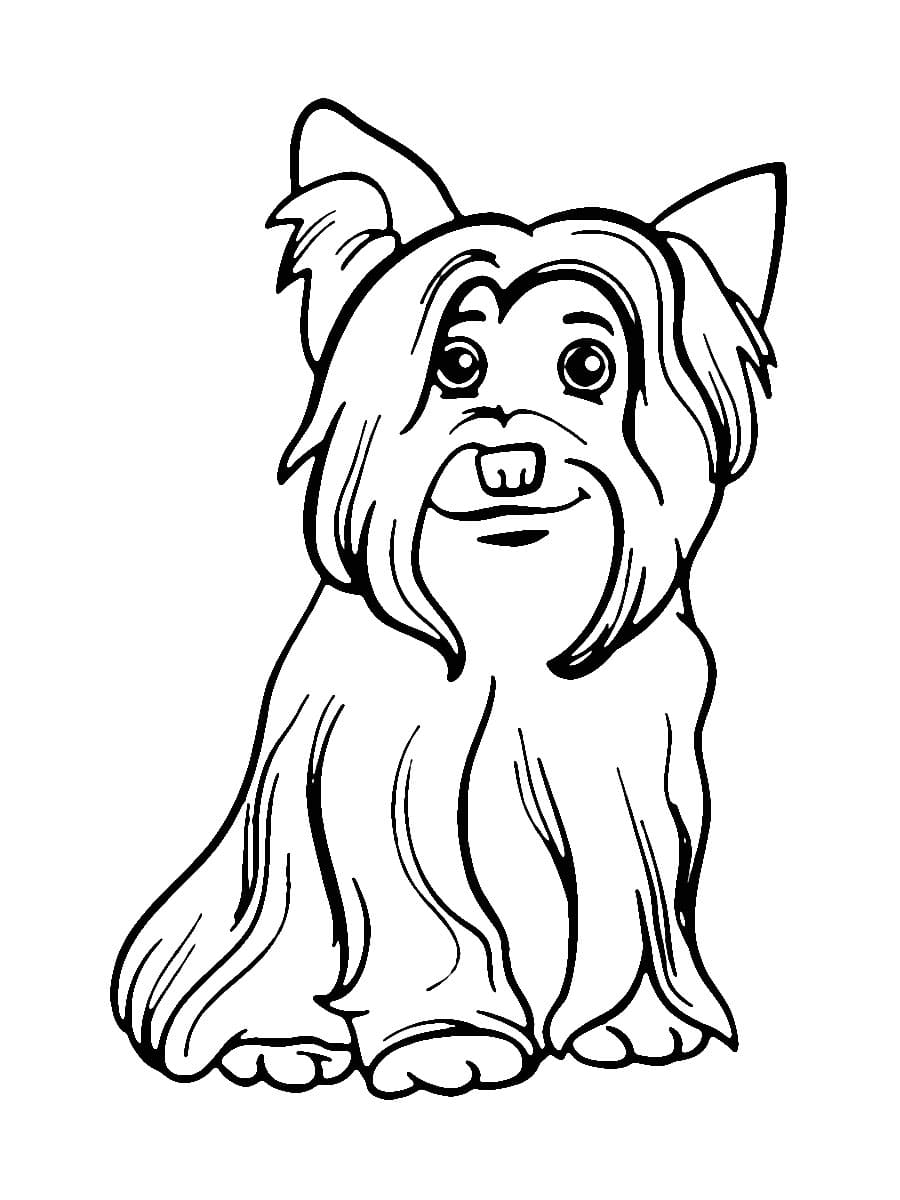 Smiling Yorkie coloring page - Download, Print or Color Online for Free