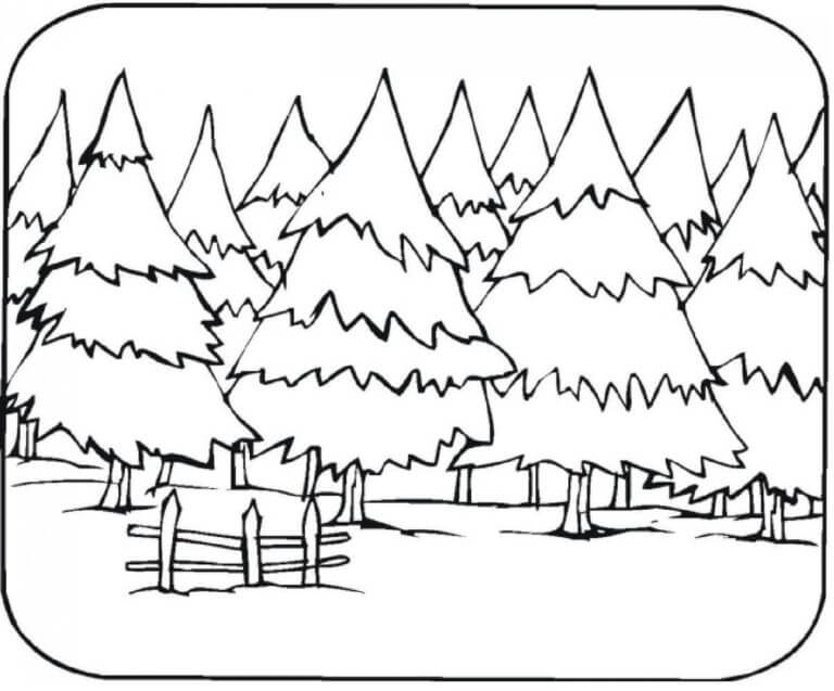 Spruce Forest coloring page