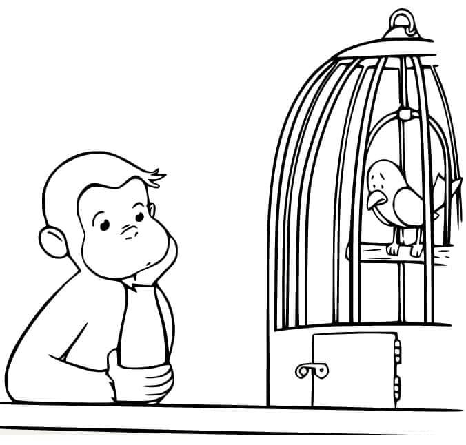 The Chick Is Sad In The Cage With Curious George