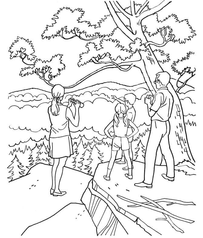 The Family Looks At Expanses Of Forest coloring page