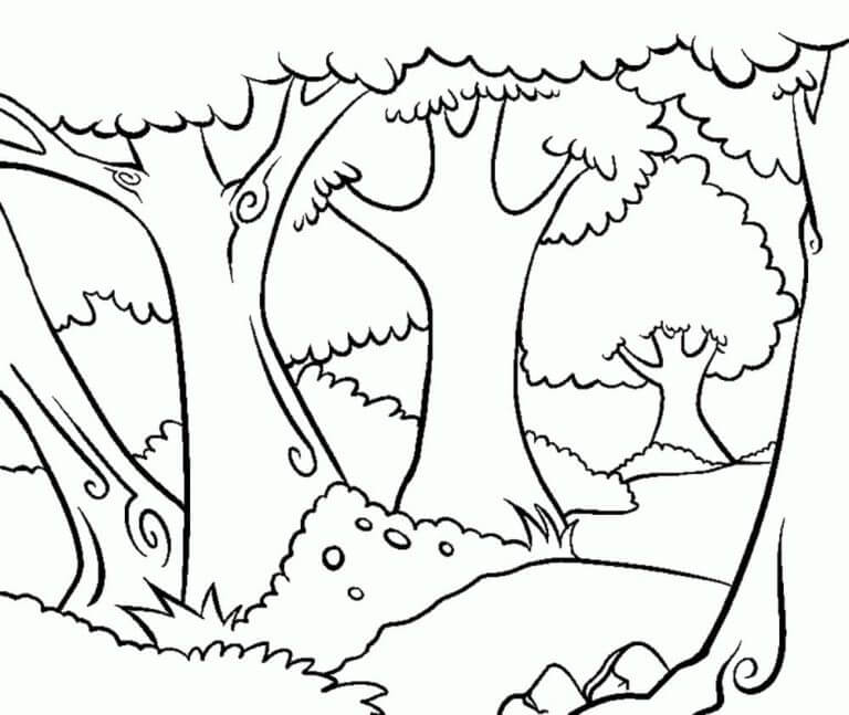 The Forest Thicket coloring page