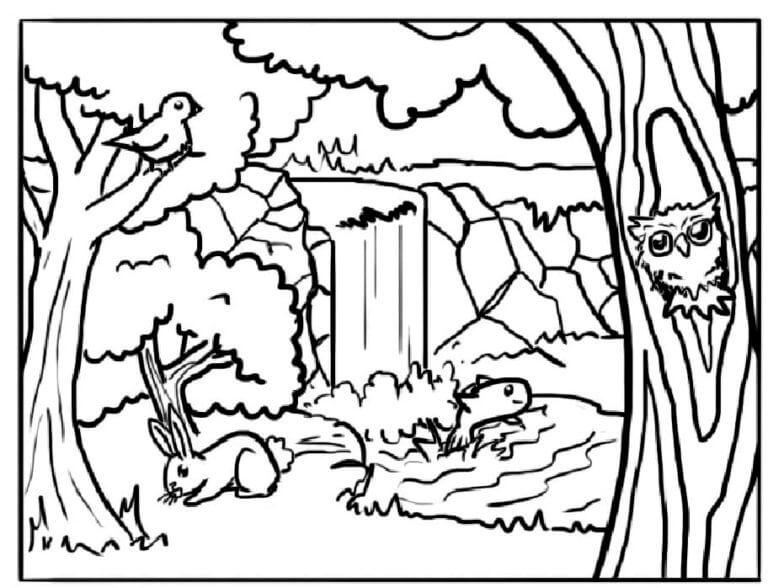 Thickets In The Forest coloring page