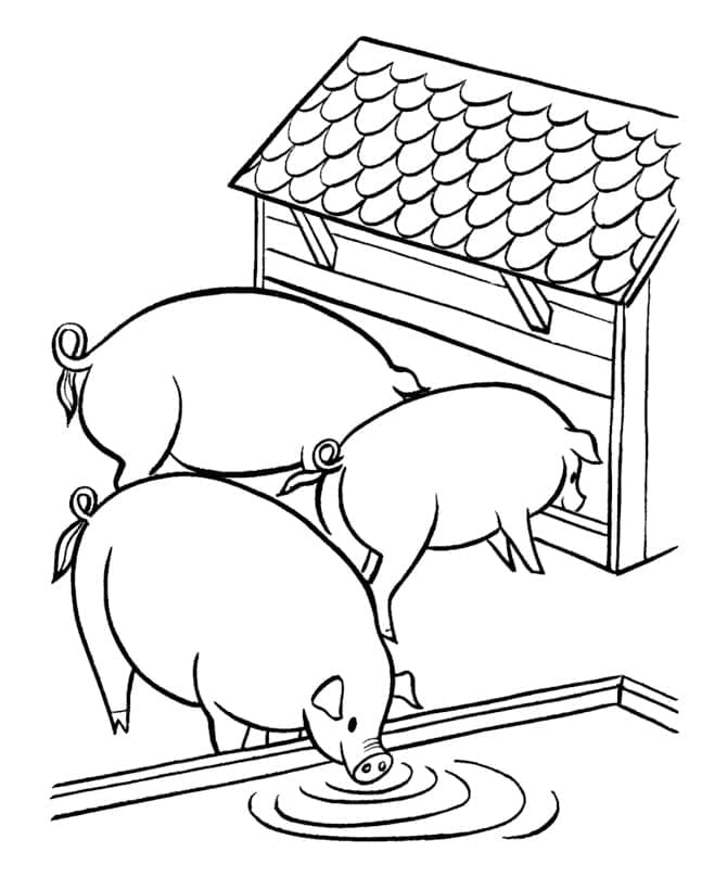 Three Pigs coloring page