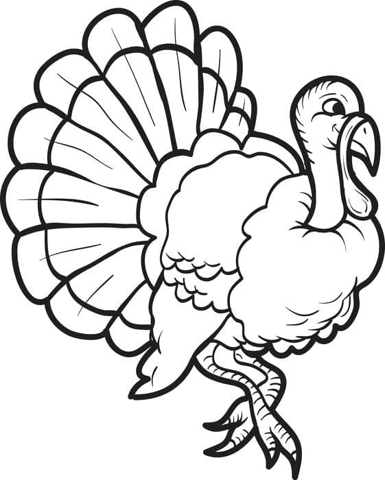 Turkey Free Printable coloring page