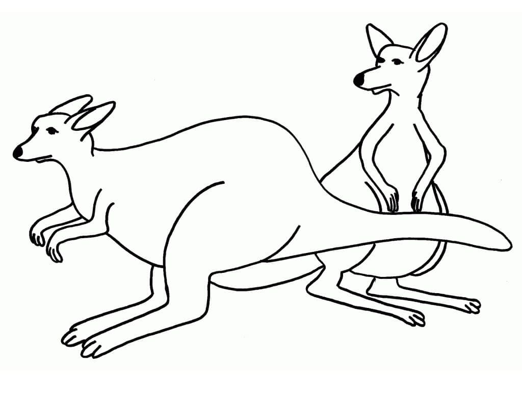 Two Kangaroos coloring page