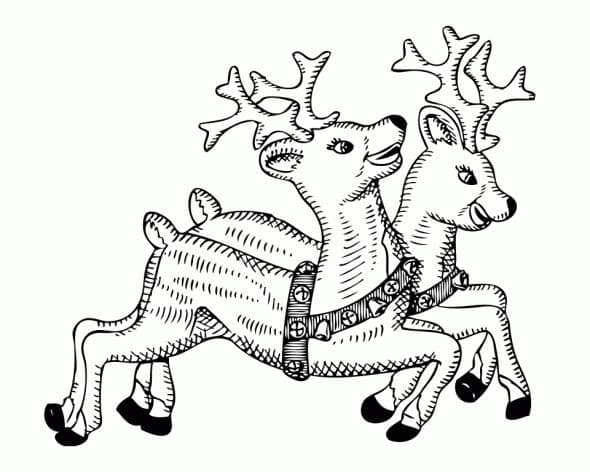 Two Reindeers