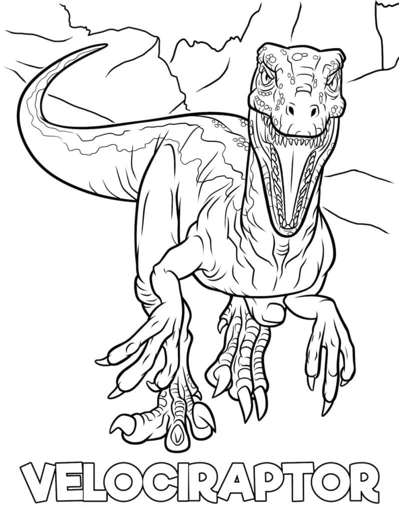Velociraptor Jurassic World coloring page - Download, Print or Color ...