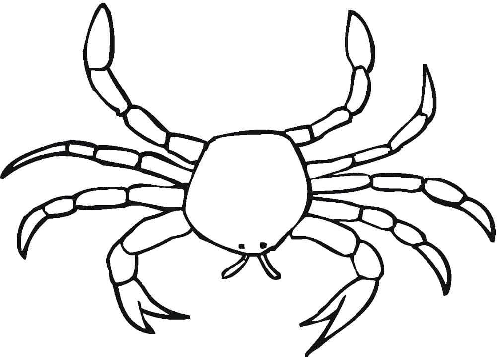 Very Simple Crab coloring page