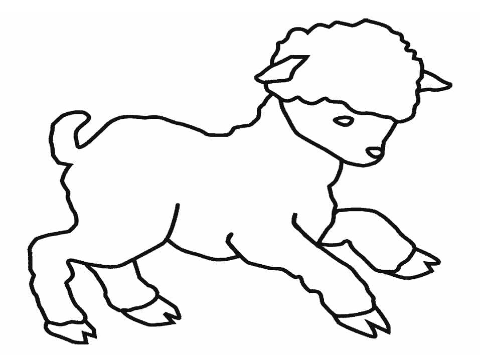 Very Simple Lamb