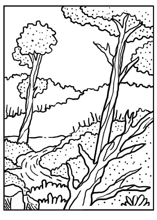 Wise Forest coloring page