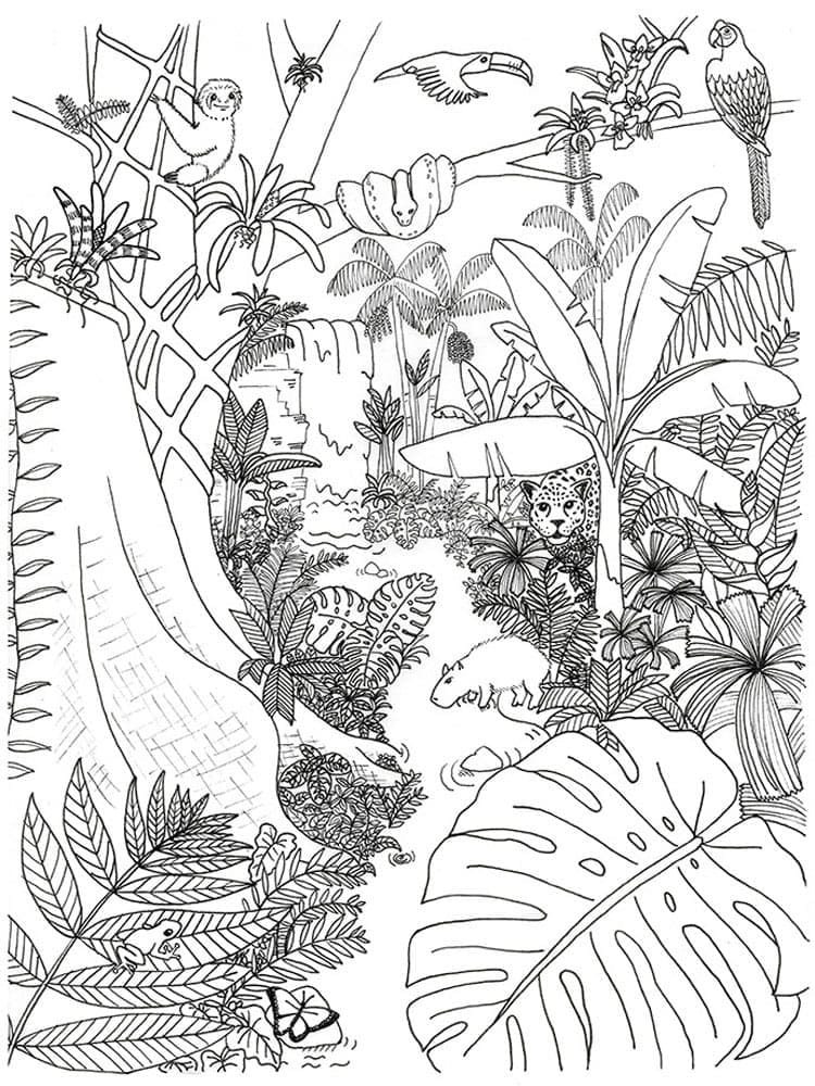 Jungle coloring pages - ColoringLib