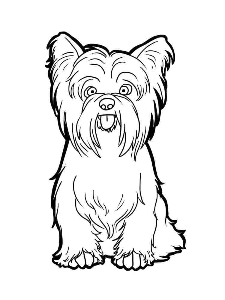 Yorkie Dog coloring page - Download, Print or Color Online for Free