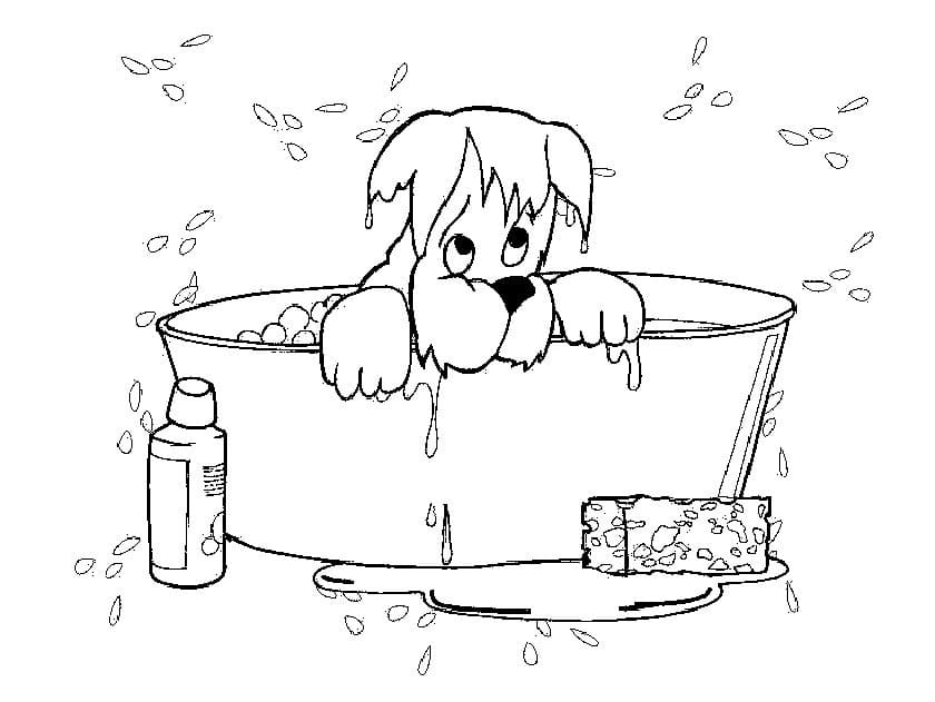 Yorkie Taking A Bath