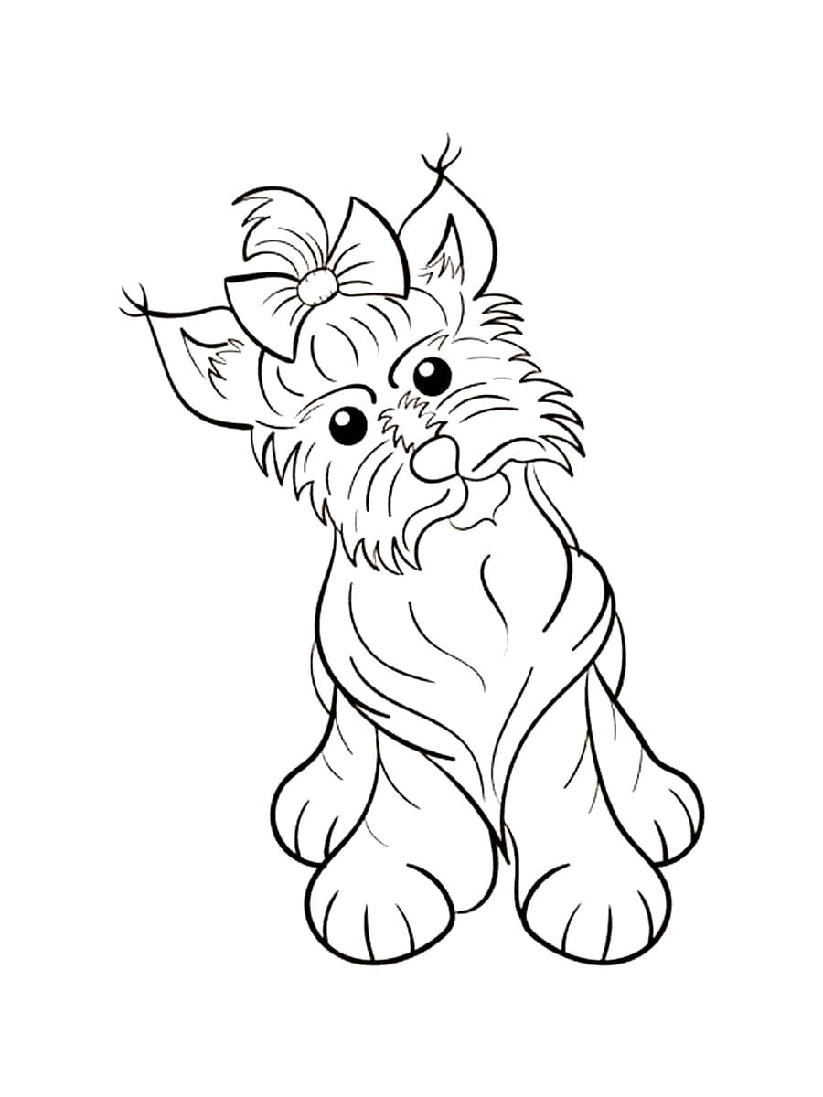 Yorkshire Terrier Dog coloring page - Download, Print or Color Online ...
