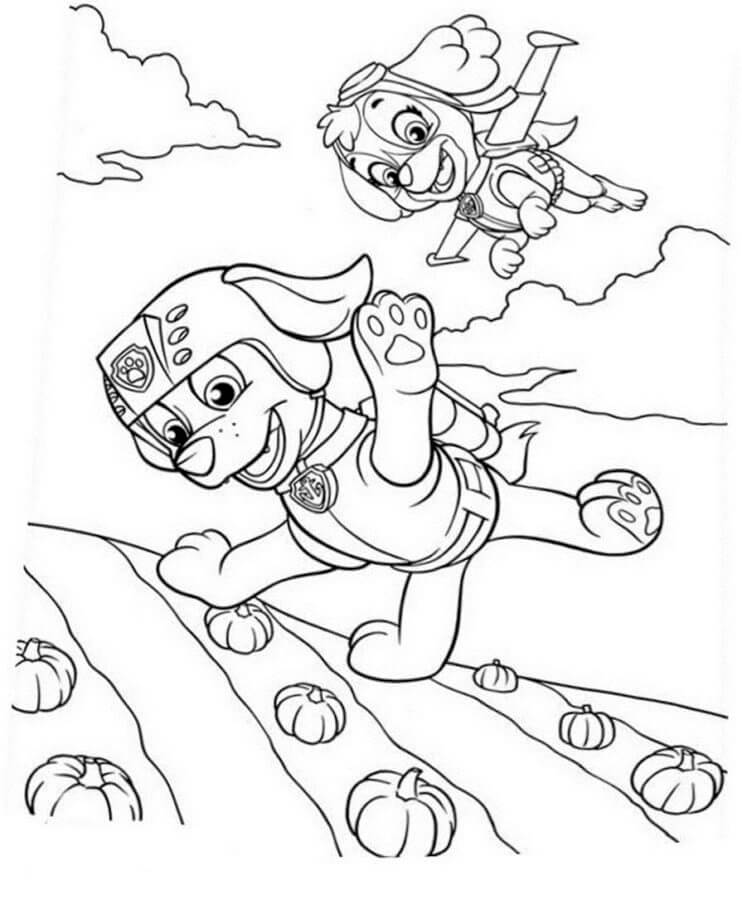 Zuma And Friend Flying coloring page