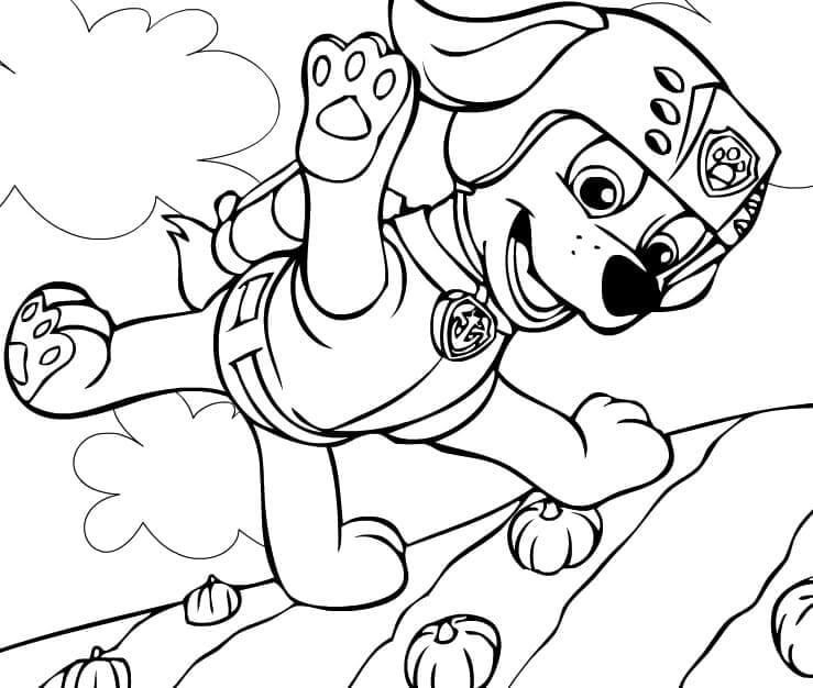 Zuma Flying In The Air coloring page