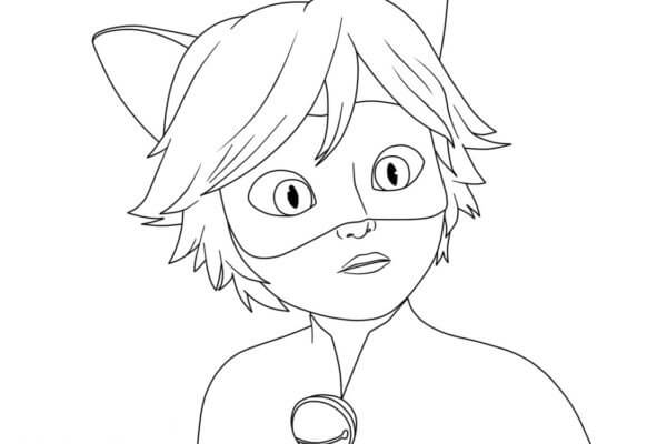 Cat Noir Face