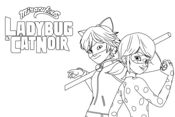 Cool Ladybug and Cat Noir