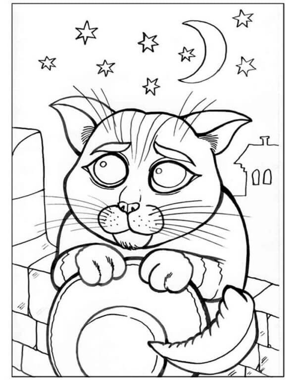 Funny Cat in the Night coloring page