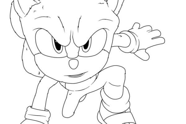 Nice Sonic the Hedgehog 2 coloring page