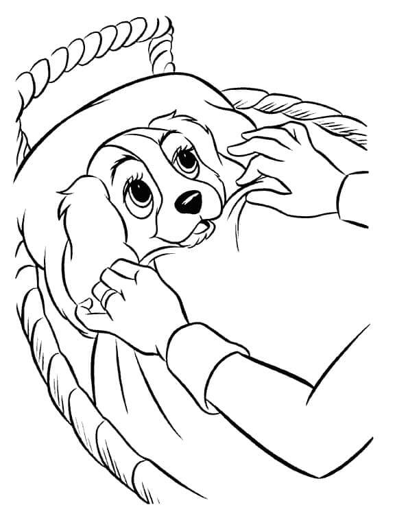 Puppy Care coloring page - Download, Print or Color Online for Free