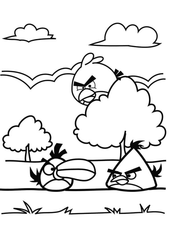 Angry Birds Three Birds coloring page - Download, Print or Color Online ...