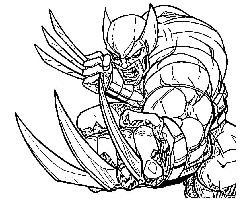 Angry Wolverine coloring page - Download, Print or Color Online for Free