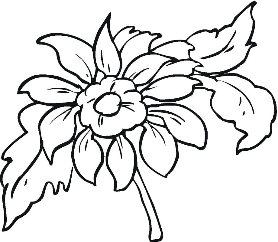 Beautiful Dahlia coloring page