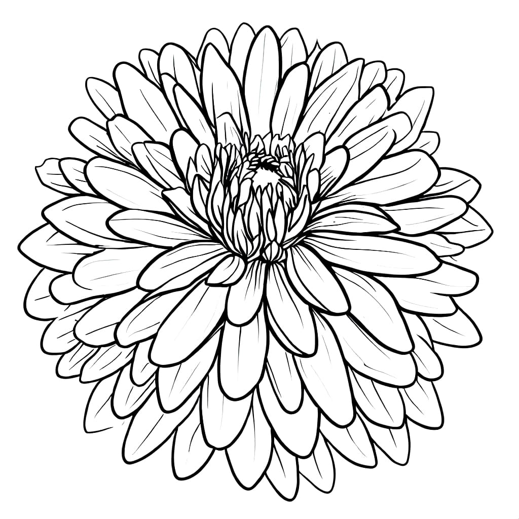 Beautiful Dahlia Flower coloring page - Download, Print or Color Online ...