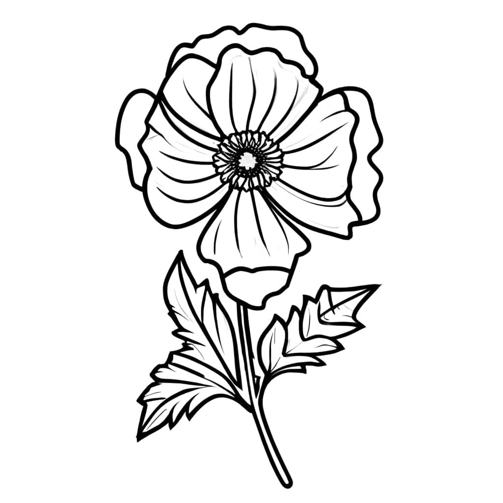 Beautiful Poppy Flower coloring page - Download, Print or Color Online ...