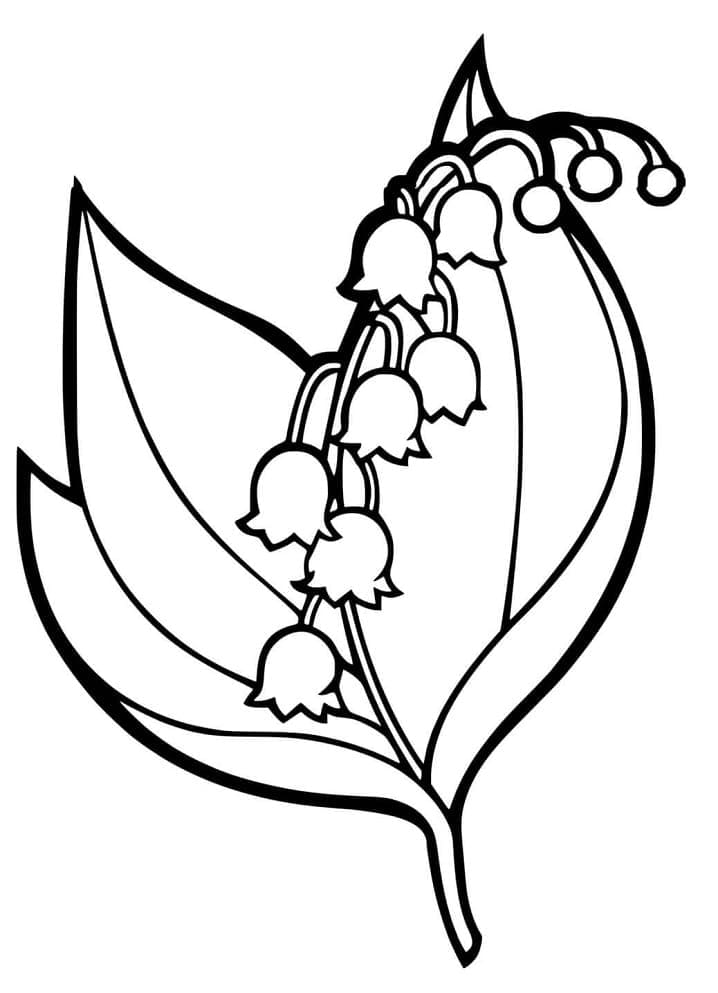 Easy Lily of the Valley coloring page