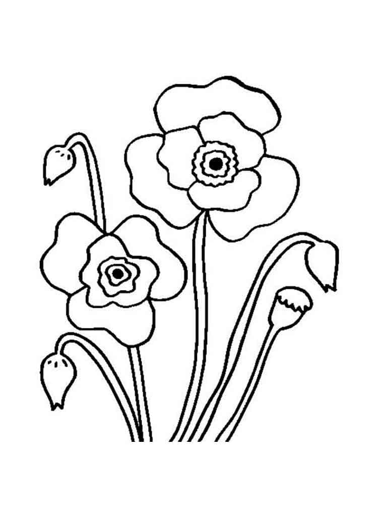 Easy Poppies coloring page