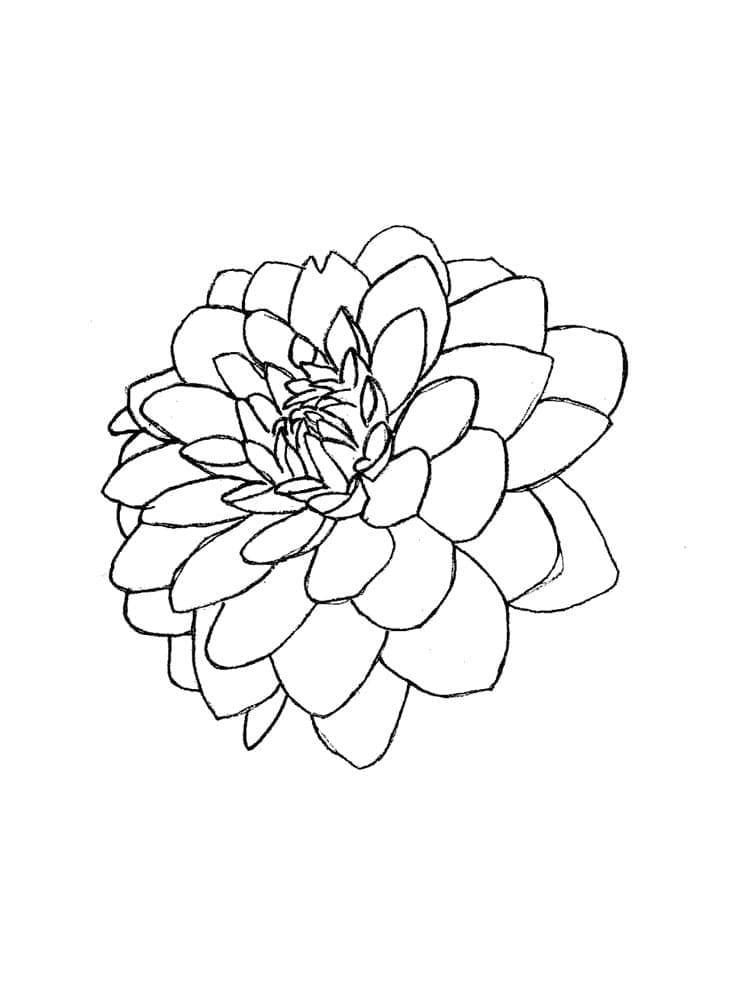 dahlia-painting-with-intricate-details-on-craiyon