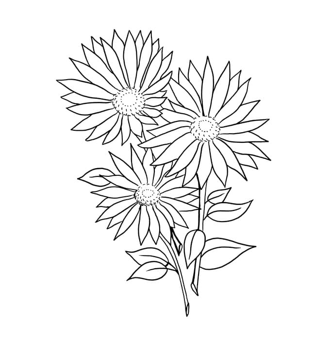 Free Daisies coloring page