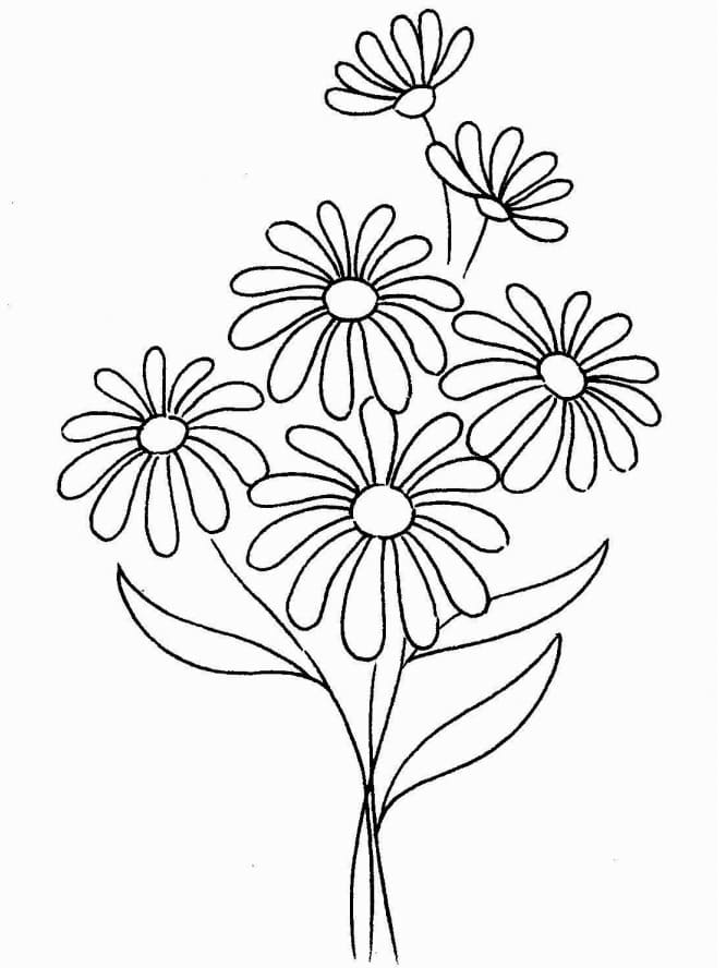 Free Printable Daisies