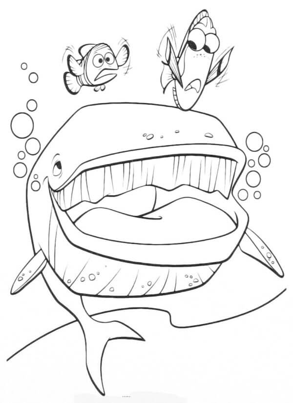 Good Friend Of Dory And Marlin coloring page