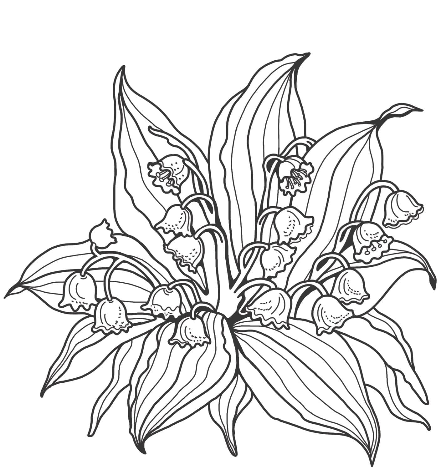 Lily of the Valley For Children coloring page - Download, Print or ...