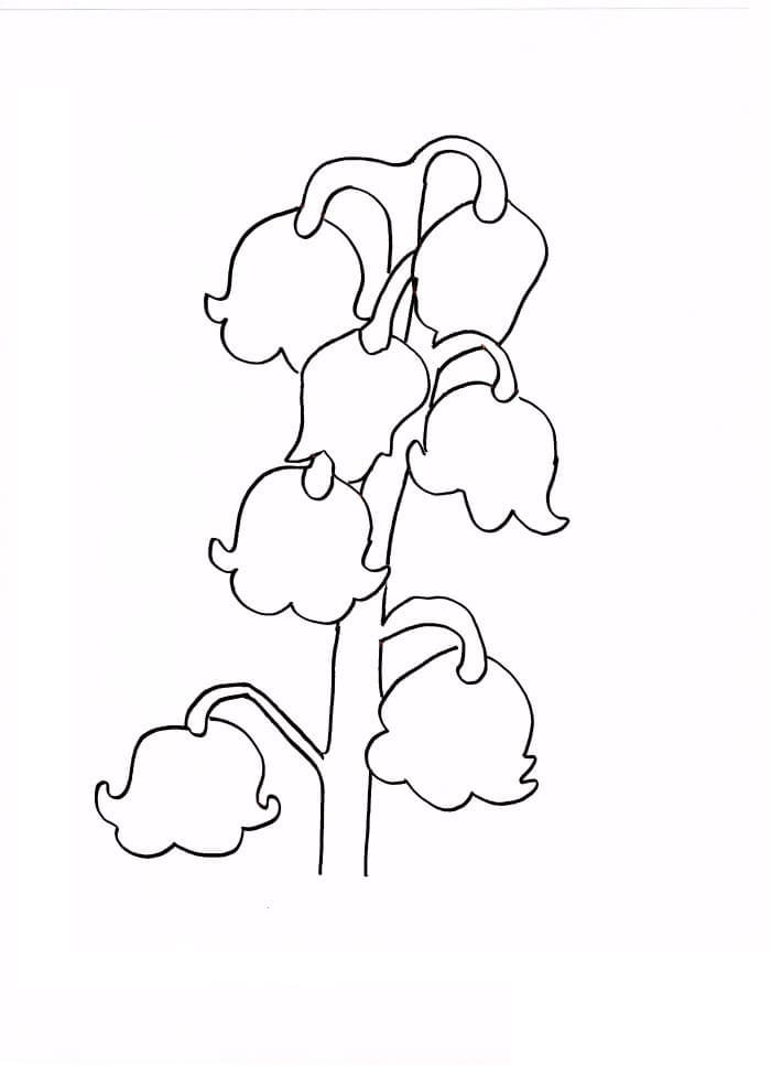 Lily of the Valley Free coloring page