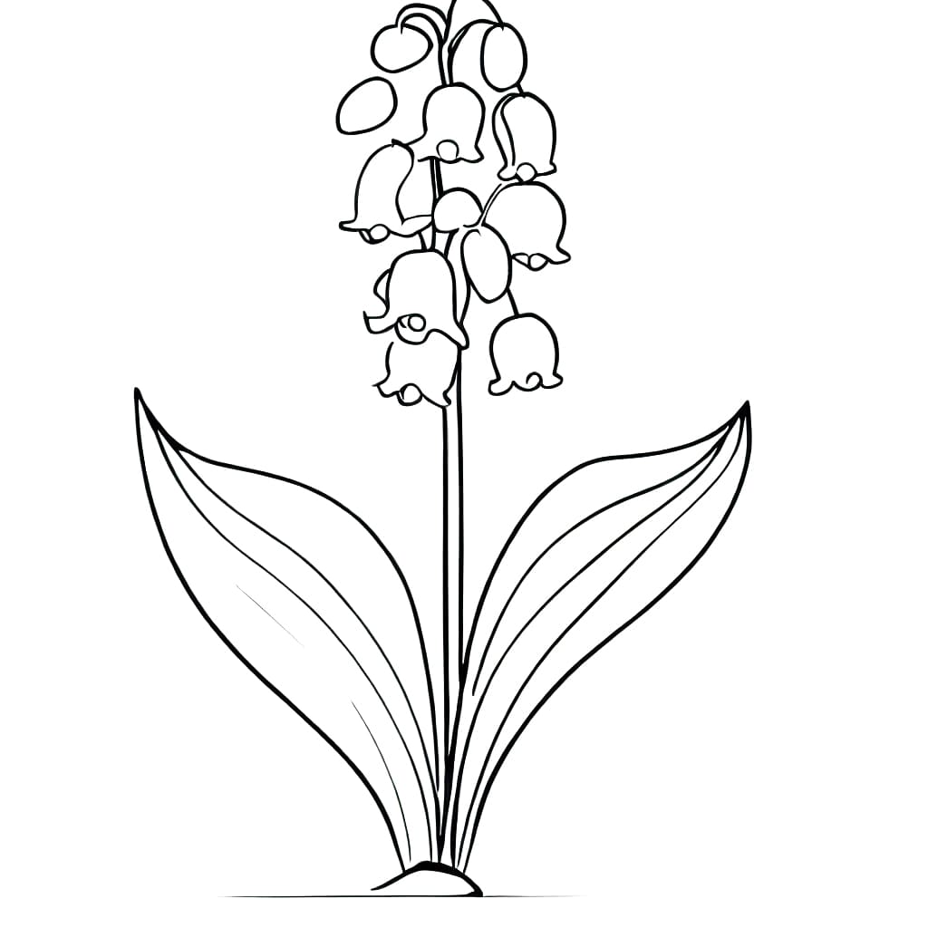 Lily of the Valley - Sheet 6 coloring page - Download, Print or Color ...