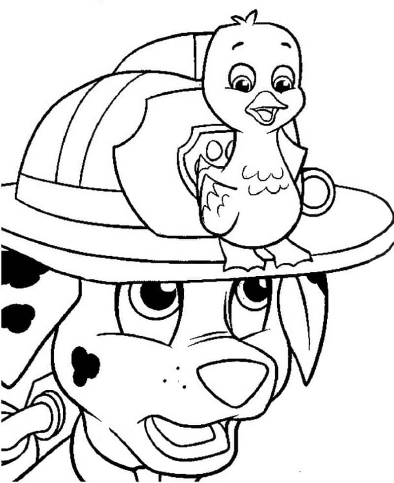 Marshall and Duckling coloring page